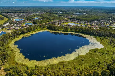 View/Area - 2839 Maple Brook Loop, Lutz, FL 33558 photo 12 of 12