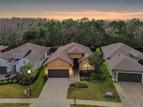 1053 Ketzal Dr, Trinity, FL 34655