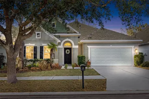 15814 Starling Water Dr, Lithia, FL 33547