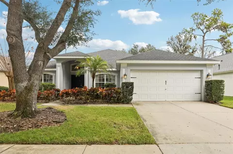 15126 Shearcrest Dr, Lithia, FL 33547
