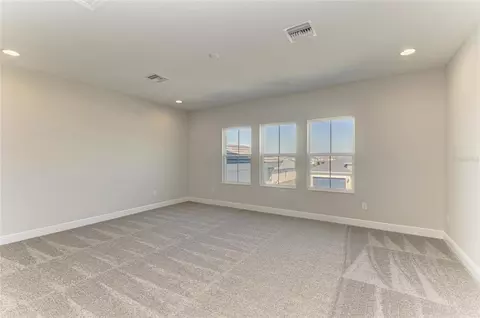 Other - 10307 Ashaway Dr, Parrish, FL 34219 photo 3 of 8