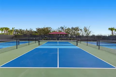 View/Area - 10141 Spruce River Way, Parrish, FL 34219 photo 6 of 15