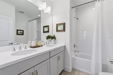 Bath - 10141 Spruce River Way, Parrish, FL 34219 photo 4 of 4