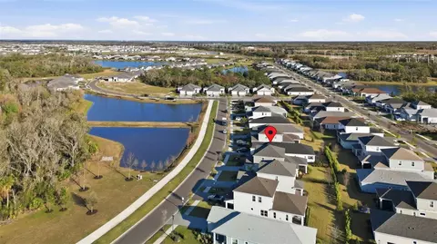 View/Area - 10141 Spruce River Way, Parrish, FL 34219 photo 14 of 15