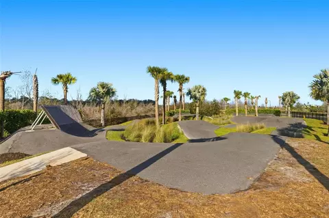 View/Area - 10141 Spruce River Way, Parrish, FL 34219 photo 5 of 15