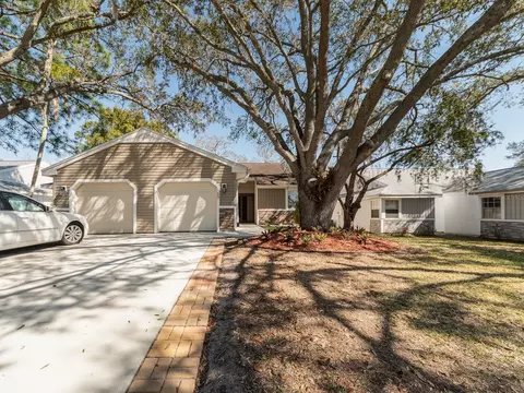 269 Petrea Dr, Palm Harbor, FL 34684