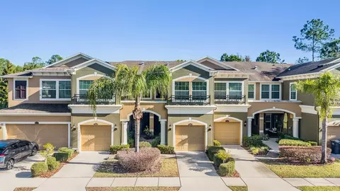 12537 Silverdale St, Tampa, FL 33626