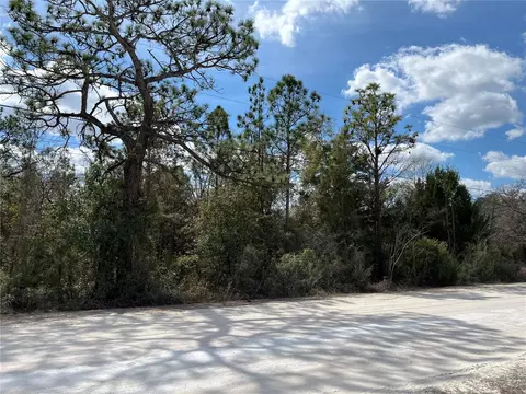 12270 Peaceful Ave, Weeki Wachee, FL 34614