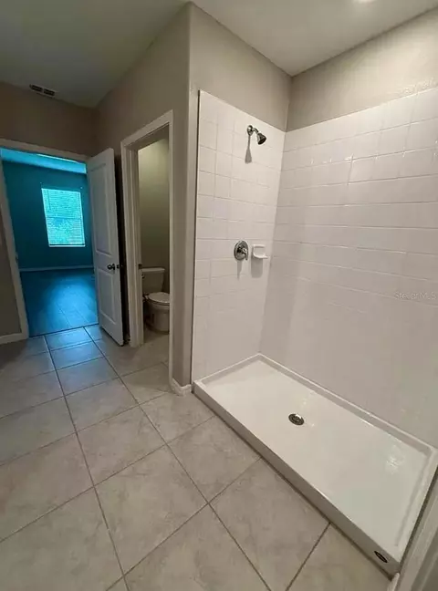Bath - 12957 Wildflower Meadow Dr, Riverview, FL 33579 photo 3 of 5