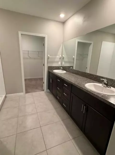 Bath - 12957 Wildflower Meadow Dr, Riverview, FL 33579 photo 2 of 5