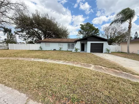 14109 Lonewood Pl, Tampa, FL 33625