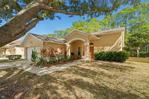 1727 Bayhill Dr, Oldsmar, FL 34677