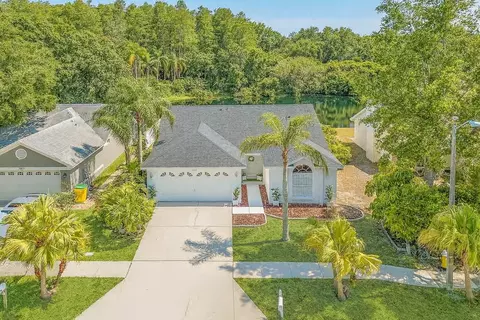 3048 Jodi Ln, Palm Harbor, FL 34684