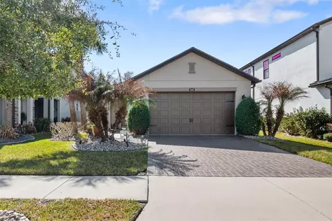 4563 San Martino Dr, Wesley Chapel, FL 33543