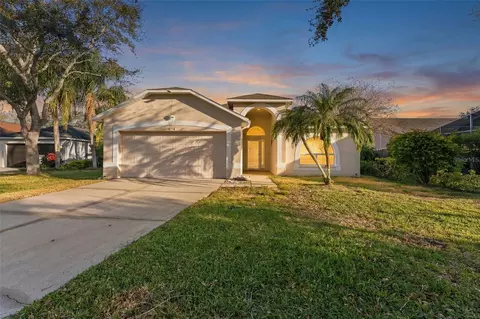 8506 Tiara Park Way, Tampa, FL 33635