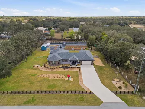 View/Area - 16090 Fringe Tree Dr, Spring Hill, FL 34610 photo 1 of 8