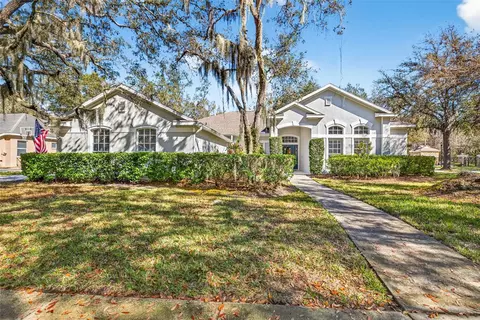 15036 Eaglerise Dr, Lithia, FL 33547