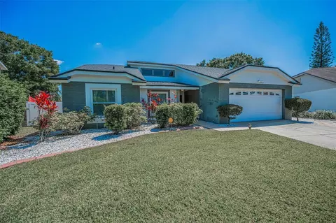 8904 Beeler Dr, Tampa, FL 33626