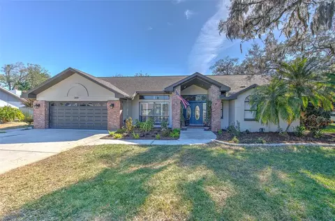 3809 Buckingham Loop Dr, Valrico, FL 33594