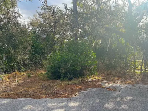 10024 Oana St, New Port Richey, FL 34654