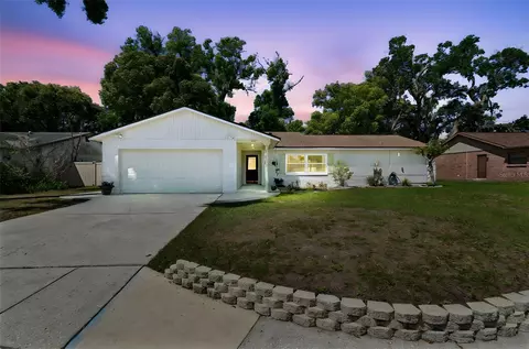 2505 Linden Tree St, Seffner, FL 33584