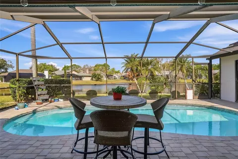 846 Centerwood Dr, Tarpon Springs, FL 34688
