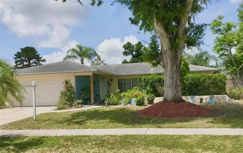 5205 Ripple Creek Dr, Tampa, FL 33625
