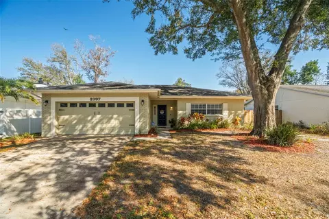 2397 E Orangehill Ave, Palm Harbor, FL 34683