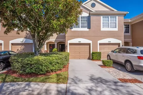 6607 Shining Sun Ct, Tampa, FL 33634