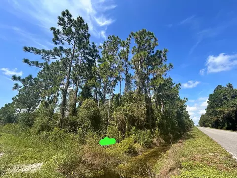 966 Challenger St NW, Lake Placid, FL 33852
