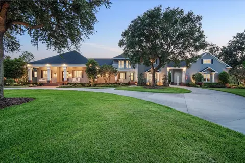 11441 Hammock Oaks Ct, Lithia, FL 33547