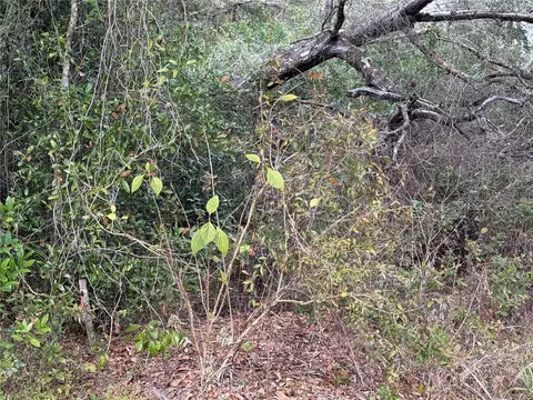 0 Hilda Rd, Dade City, FL 33523 photo 4