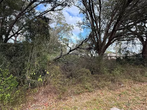 0 Hilda Rd, Dade City, FL 33523 photo 3