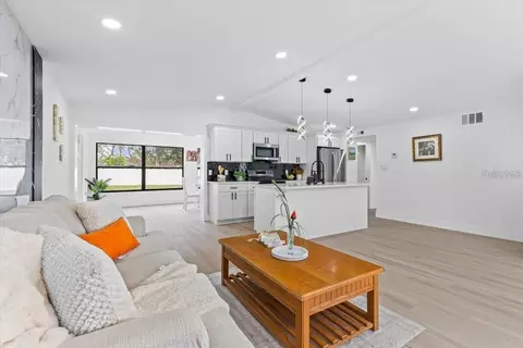 Living - 8816 Ashman Rd, Riverview, FL 33578 photo 6 of 11