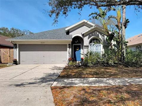 5637 Paddock Trail Dr, Tampa, FL 33624
