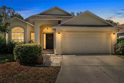 19014 Chemille Dr, Lutz, FL 33558