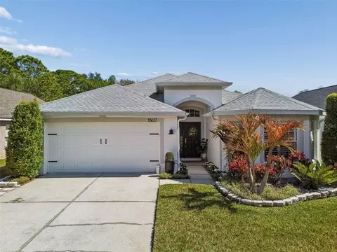 18617 Le Dauphine Pl, Lutz, FL 33558