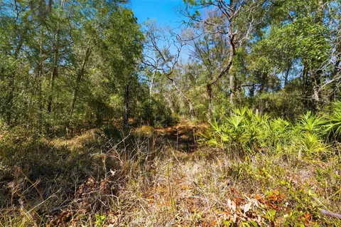9255 Grouse Way, Hudson, FL 34669 photo 8
