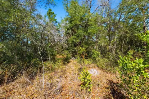 9255 Grouse Way, Hudson, FL 34669 photo 4