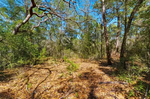 9255 Grouse Way, Hudson, FL 34669 photo 5