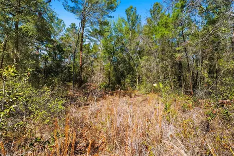 9255 Grouse Way, Hudson, FL 34669 photo 7