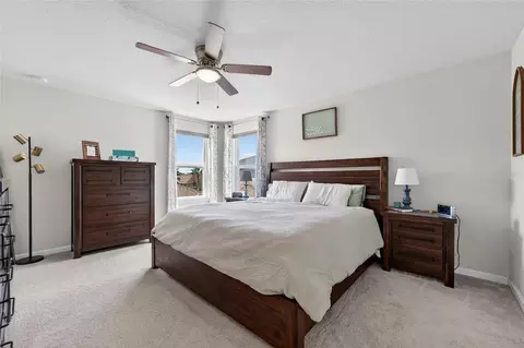 Bedroom - 12273 Blue Pacific Dr, Riverview, FL 33579 photo 1 of 8
