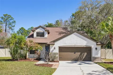 5620 Essex Ct, Palm Harbor, FL 34685