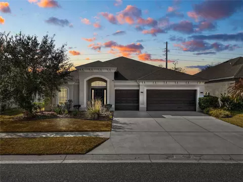 6333 Doe Path Ct, Wesley Chapel, FL 33545