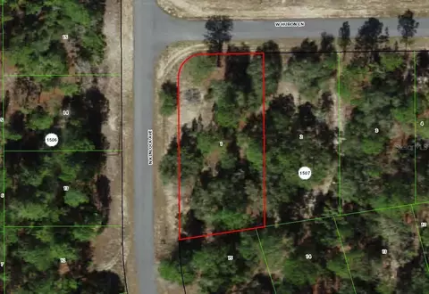 2896 W Huron Ln, Dunnellon, FL 34433