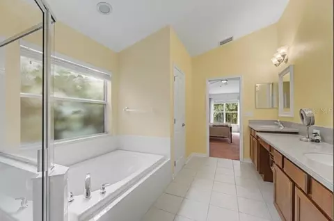Bath - 10813 Rockledge View Dr, Riverview, FL 33579 photo 6 of 8
