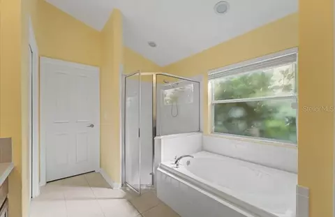 Bath - 10813 Rockledge View Dr, Riverview, FL 33579 photo 4 of 8