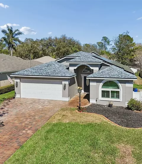 3301 Black Gum Ct, Tampa, FL 33618