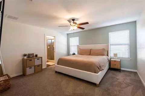 Bedroom - 6309 Pin Cherry Pl, Riverview, FL 33578 photo 3 of 4