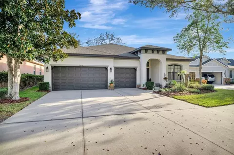 15616 Starling Water Dr, Lithia, FL 33547